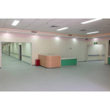 Nano Anti Bacterial Alucobond′s Aluminum Composite Panel for Hospital Laboray